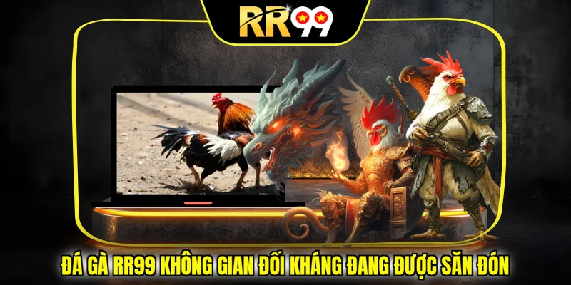 Đá gà RR99 không gian đối kháng đang được săn đón